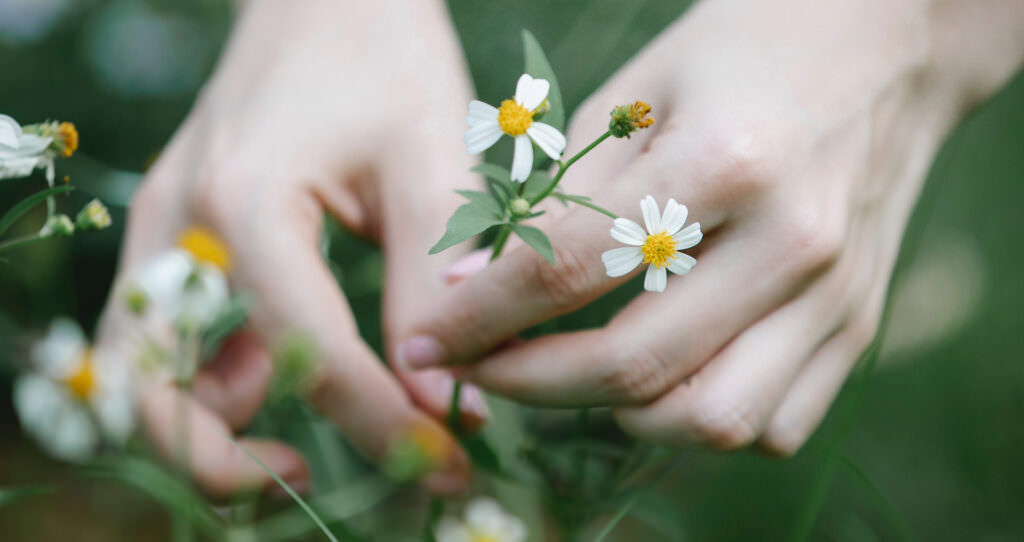 nutricion and cancer